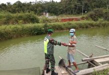 Serda Alex, Koramil 02/Tarempa Bersama Warga Binaan Melaksanakan Komsos Budidaya Ikan Air Tawar