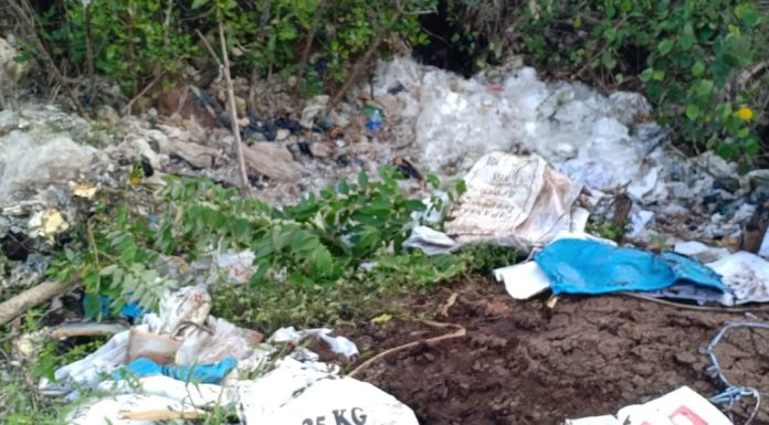 Limbah Tembakau Rokok H Mind Terkontaminasi B3 Dibuang Sembarangan